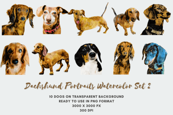 10 Dachshund Portraits Watercolor Set 2