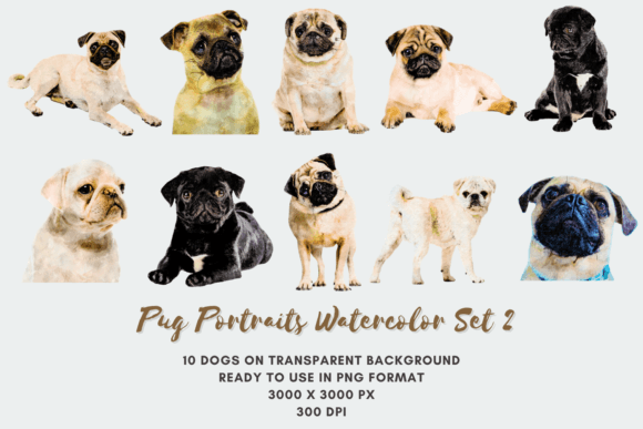 10 Pug Portraits Watercolor Set 2 Dog B
