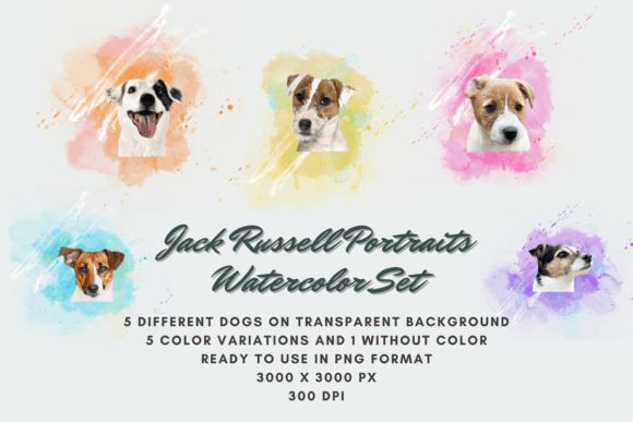 30 Jack Russell Portraits Watercolor Set